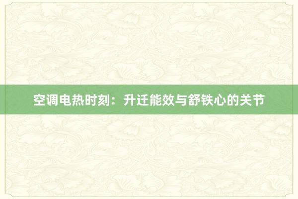 空调电热时刻：升迁能效与舒铁心的关节